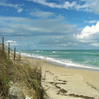 Summer Listens #3: The World is a Morgue