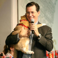 Hacks, Cats,  Colbert