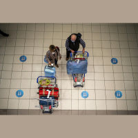 Pigeon with A Mustache