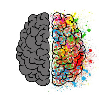 The United States of Anxiety: Americas Allergy to Intellectualism