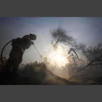 Band-Aid On A Bulletwound