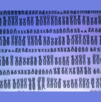 This Gene Was Edited By Brooke