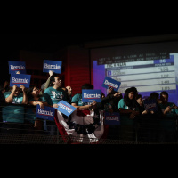 MSNBC Is Being Very, Very Calm About Bernie Sanders