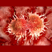 The Too-Good-To-Be-True Cancer Cure