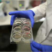 Jason Collins Comes Out, Patenting Genes And More