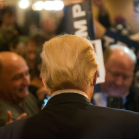 The Elephant in the Room