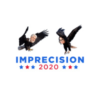 Imprecision 2020