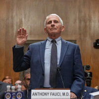 Fauci remains silent as senators grill him on COVID-19 origins