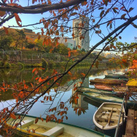 Behind Japan’s Corporate ‘Culture of Concealment’