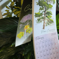 Meterse en un jardín | Joyas de la vegetación canaria