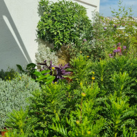 Meterse en un jardín | Bienvenidos a la nueva temporada del jardín de Eduardo Barba