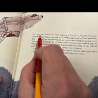 La biblioteca | Clara Obligado relata el exilio que nunca acaba