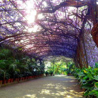 Meterse en un jardín | Cómo nace y crece un jardín