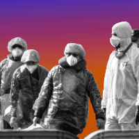 What Next - Should I Be Freaking Out About Hantavirus?
