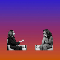 What Next: Why More Democrats Are Buying Guns