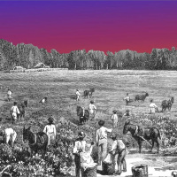 What Kids Arent Learning About US History