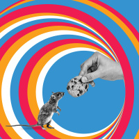 Decoder Ring: If You Give a Mouse a Cookie… Will He Want a Welfare Check?