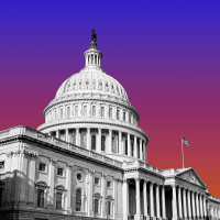 What Next | Was Democracy Voted Out?