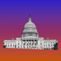 What Next | Can Congress Stop Trumps Takeover?