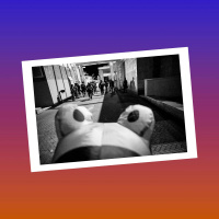 Inside the Portland “War Zone”