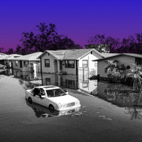 An Extremely Online Hurricane Season