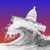 What Next - What Happens After a Blue Wave