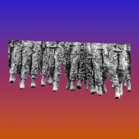 Could Arlington Cost Trump Military Votes?