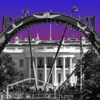 What Next - Fight House Lawn