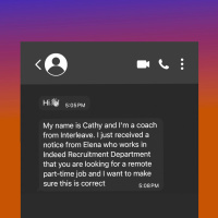 Down the Text-Scam Rabbit Hole