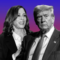 Trump and Harris, Head to Head