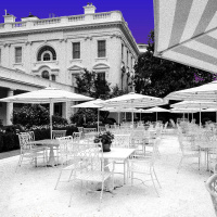 What Next | Decorator-In-Chief