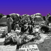 What Next: Columbia Calls the Cops