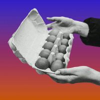 Which Came First, the Bird Flu or the Egg?