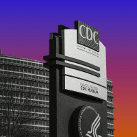 The CDC Under Fire