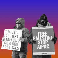 What Next - A Test For Pro-Israel Democrats