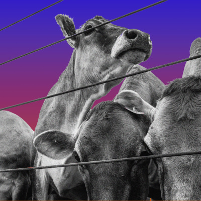 Slate Daily Feed