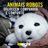 Episódio 27: Animais robots oferecem companhia e conforto