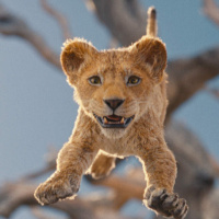 Mufasa: The Lion King And Whats Making Us Happy