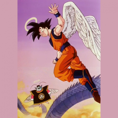 The Next Dimension: A Dragon Ball Z Podcast