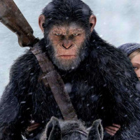 Apes Together Strong