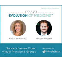 Success Leaves Clues: Virtual Practice  Groups