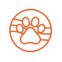 John Dinsley - Charcoal Remedies: Medicinal Charcoal and Its Applications