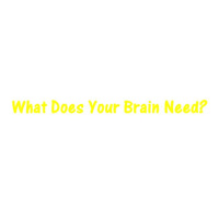 What Does Your Brain Need?