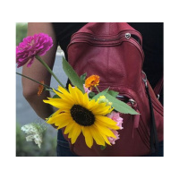 Jennifer Margulis - Healthy Immunity: The Cutting Edge