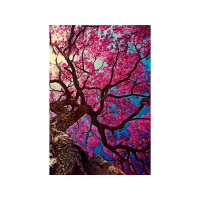 Living Your Life On Purpose!