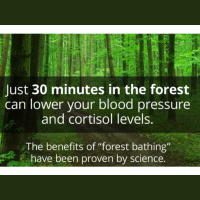 Jennifer Margulis - Healthy Immunity: The Cutting Edge [a review]