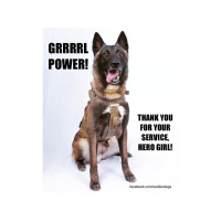 Maria Goodavage-Doctor Dogs: How Our Best Friends Are Becoming Our Best Medicine