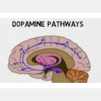 Lyn Lesch - How to Achieve a Quiet Mind Amidst Digital Chaos