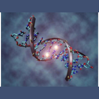 Why the Elderly are at such a High Risk of Disease in a Standard of Care World