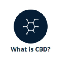 Martin Lee - The Essential Guide to CBD